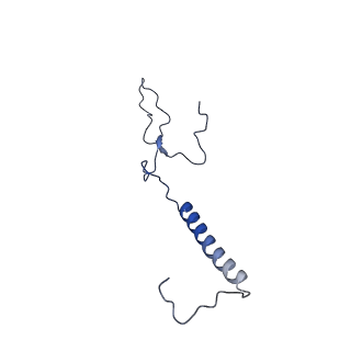 34373_8gym_tb_v1-0
Cryo-EM structure of Tetrahymena thermophila respiratory mega-complex MC IV2+(I+III2+II)2