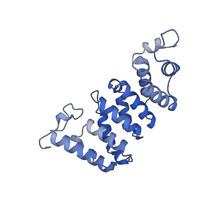 34373_8gym_tf_v1-0
Cryo-EM structure of Tetrahymena thermophila respiratory mega-complex MC IV2+(I+III2+II)2