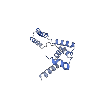 34373_8gym_tg_v1-0
Cryo-EM structure of Tetrahymena thermophila respiratory mega-complex MC IV2+(I+III2+II)2