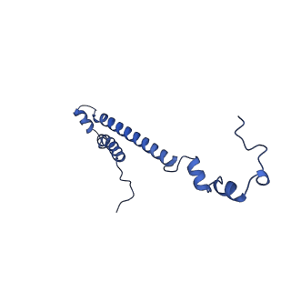 34373_8gym_th_v1-0
Cryo-EM structure of Tetrahymena thermophila respiratory mega-complex MC IV2+(I+III2+II)2