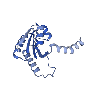 34373_8gym_tx_v1-0
Cryo-EM structure of Tetrahymena thermophila respiratory mega-complex MC IV2+(I+III2+II)2