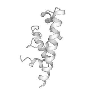 34373_8gym_u1_v1-0
Cryo-EM structure of Tetrahymena thermophila respiratory mega-complex MC IV2+(I+III2+II)2