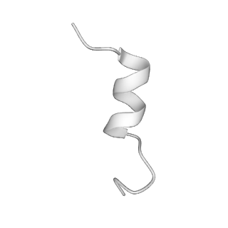 34373_8gym_u2_v1-0
Cryo-EM structure of Tetrahymena thermophila respiratory mega-complex MC IV2+(I+III2+II)2