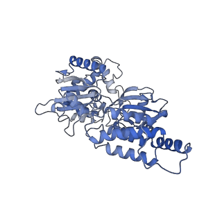 34373_8gym_v1_v1-0
Cryo-EM structure of Tetrahymena thermophila respiratory mega-complex MC IV2+(I+III2+II)2