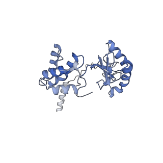 34373_8gym_v2_v1-0
Cryo-EM structure of Tetrahymena thermophila respiratory mega-complex MC IV2+(I+III2+II)2