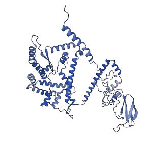34373_8gym_vb_v1-0
Cryo-EM structure of Tetrahymena thermophila respiratory mega-complex MC IV2+(I+III2+II)2