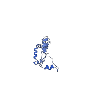 34373_8gym_w_v1-0
Cryo-EM structure of Tetrahymena thermophila respiratory mega-complex MC IV2+(I+III2+II)2