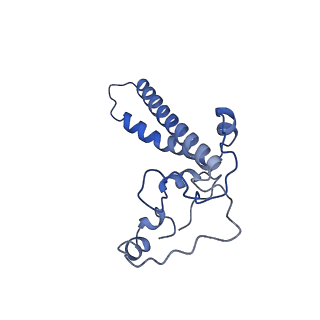 34373_8gym_x1_v1-0
Cryo-EM structure of Tetrahymena thermophila respiratory mega-complex MC IV2+(I+III2+II)2