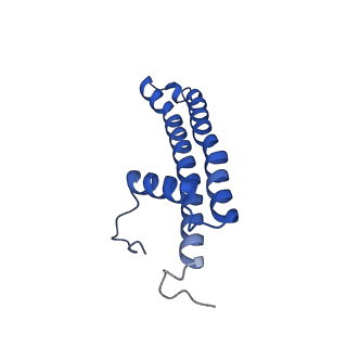 34373_8gym_x_v1-0
Cryo-EM structure of Tetrahymena thermophila respiratory mega-complex MC IV2+(I+III2+II)2