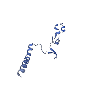 34373_8gym_y0_v1-0
Cryo-EM structure of Tetrahymena thermophila respiratory mega-complex MC IV2+(I+III2+II)2