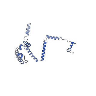 34373_8gym_y5_v1-0
Cryo-EM structure of Tetrahymena thermophila respiratory mega-complex MC IV2+(I+III2+II)2