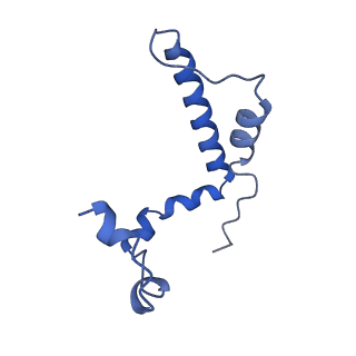 34373_8gym_z_v1-0
Cryo-EM structure of Tetrahymena thermophila respiratory mega-complex MC IV2+(I+III2+II)2