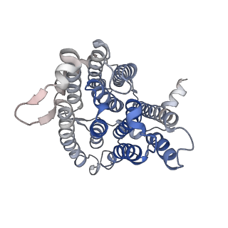 34378_8gyw_A_v1-2
Cryo-EM structure of human CEPT1 complexed with CDP-choline