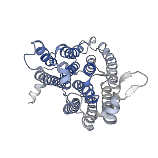 34378_8gyw_B_v1-2
Cryo-EM structure of human CEPT1 complexed with CDP-choline
