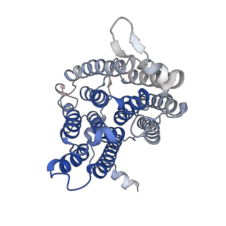 34379_8gyx_A_v1-2
Cryo-EM structure of human CEPT1
