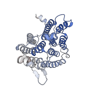 34379_8gyx_B_v1-2
Cryo-EM structure of human CEPT1