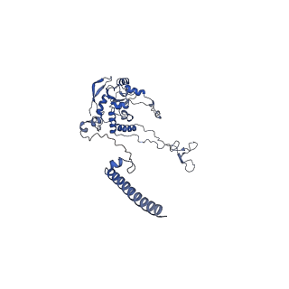 0098_6gz3_AC_v1-2
tRNA translocation by the eukaryotic 80S ribosome and the impact of GTP hydrolysis, Translocation-intermediate-POST-1 (TI-POST-1)