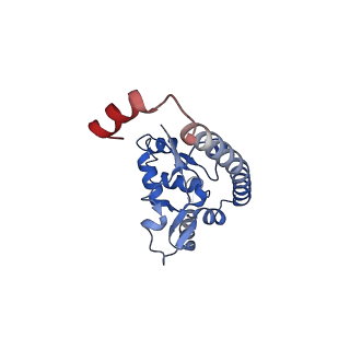 0098_6gz3_AO_v1-2
tRNA translocation by the eukaryotic 80S ribosome and the impact of GTP hydrolysis, Translocation-intermediate-POST-1 (TI-POST-1)