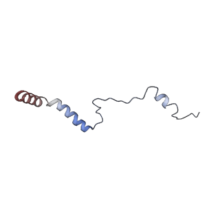 0098_6gz3_Ab_v1-2
tRNA translocation by the eukaryotic 80S ribosome and the impact of GTP hydrolysis, Translocation-intermediate-POST-1 (TI-POST-1)