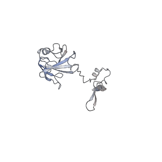0098_6gz3_BG_v1-2
tRNA translocation by the eukaryotic 80S ribosome and the impact of GTP hydrolysis, Translocation-intermediate-POST-1 (TI-POST-1)