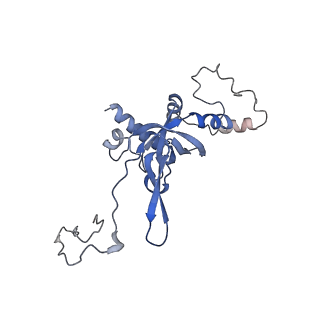 0098_6gz3_BI_v1-2
tRNA translocation by the eukaryotic 80S ribosome and the impact of GTP hydrolysis, Translocation-intermediate-POST-1 (TI-POST-1)