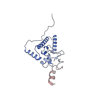 0098_6gz3_BJ_v1-2
tRNA translocation by the eukaryotic 80S ribosome and the impact of GTP hydrolysis, Translocation-intermediate-POST-1 (TI-POST-1)