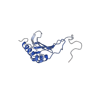 0098_6gz3_BO_v1-2
tRNA translocation by the eukaryotic 80S ribosome and the impact of GTP hydrolysis, Translocation-intermediate-POST-1 (TI-POST-1)
