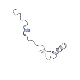 0098_6gz3_Be_v1-2
tRNA translocation by the eukaryotic 80S ribosome and the impact of GTP hydrolysis, Translocation-intermediate-POST-1 (TI-POST-1)