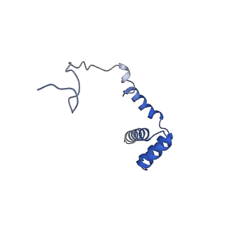0099_6gz4_Ai_v1-1
tRNA translocation by the eukaryotic 80S ribosome and the impact of GTP hydrolysis, Translocation-intermediate-POST-2 (TI-POST-2)