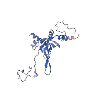 0099_6gz4_BI_v1-1
tRNA translocation by the eukaryotic 80S ribosome and the impact of GTP hydrolysis, Translocation-intermediate-POST-2 (TI-POST-2)