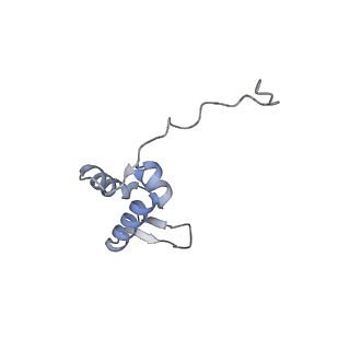 0099_6gz4_BZ_v1-1
tRNA translocation by the eukaryotic 80S ribosome and the impact of GTP hydrolysis, Translocation-intermediate-POST-2 (TI-POST-2)