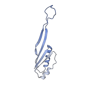 0100_6gz5_BU_v1-2
tRNA translocation by the eukaryotic 80S ribosome and the impact of GTP hydrolysis, Translocation-intermediate-POST-3 (TI-POST-3)