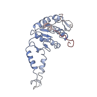 0101_6gzq_B2_v1-0
T. thermophilus hibernating 70S ribosome