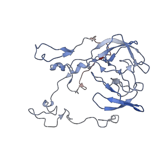 0101_6gzq_C1_v1-0
T. thermophilus hibernating 70S ribosome