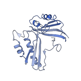 0101_6gzq_C2_v1-0
T. thermophilus hibernating 70S ribosome