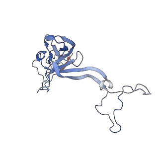 0101_6gzq_D1_v1-0
T. thermophilus hibernating 70S ribosome