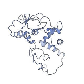 0101_6gzq_D2_v1-0
T. thermophilus hibernating 70S ribosome