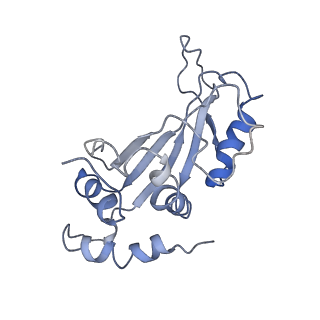 0101_6gzq_F1_v1-0
T. thermophilus hibernating 70S ribosome
