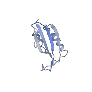 0101_6gzq_F2_v1-0
T. thermophilus hibernating 70S ribosome