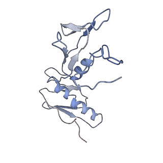 0101_6gzq_G1_v1-0
T. thermophilus hibernating 70S ribosome
