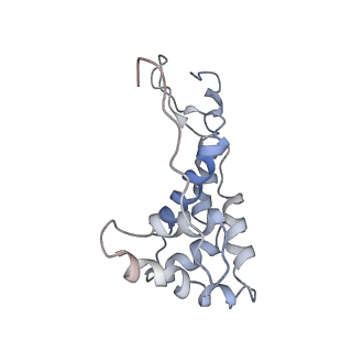 0101_6gzq_G2_v1-0
T. thermophilus hibernating 70S ribosome