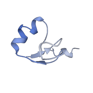 0101_6gzq_H1_v1-0
T. thermophilus hibernating 70S ribosome