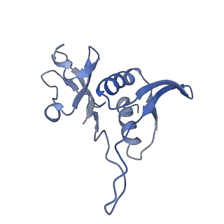 0101_6gzq_H2_v1-0
T. thermophilus hibernating 70S ribosome