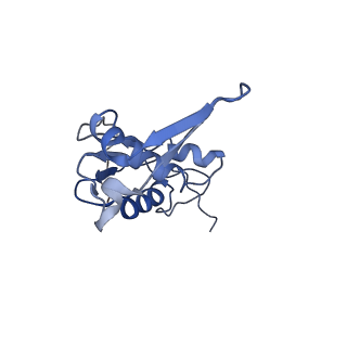 0101_6gzq_I1_v1-0
T. thermophilus hibernating 70S ribosome