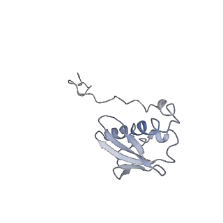0101_6gzq_I2_v1-0
T. thermophilus hibernating 70S ribosome