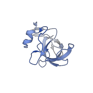 0101_6gzq_J1_v1-0
T. thermophilus hibernating 70S ribosome