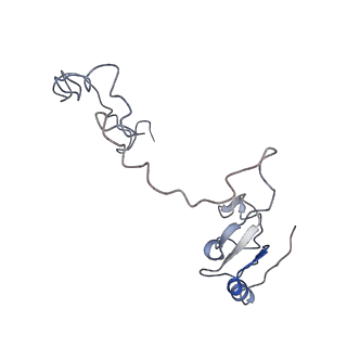 0101_6gzq_K1_v1-0
T. thermophilus hibernating 70S ribosome
