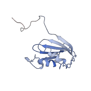 0101_6gzq_K2_v1-0
T. thermophilus hibernating 70S ribosome