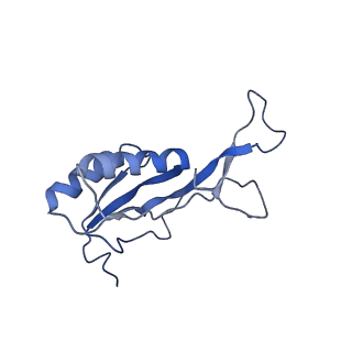 0101_6gzq_L1_v1-0
T. thermophilus hibernating 70S ribosome