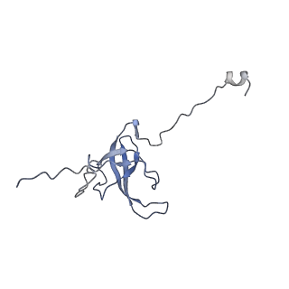 0101_6gzq_L2_v1-0
T. thermophilus hibernating 70S ribosome